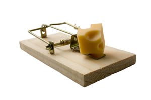 A better mousetrap