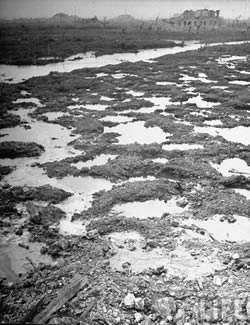 The dangers of a "muddy middle"