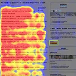 Banner Blindness