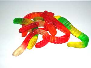 Irrational Fear of Worms